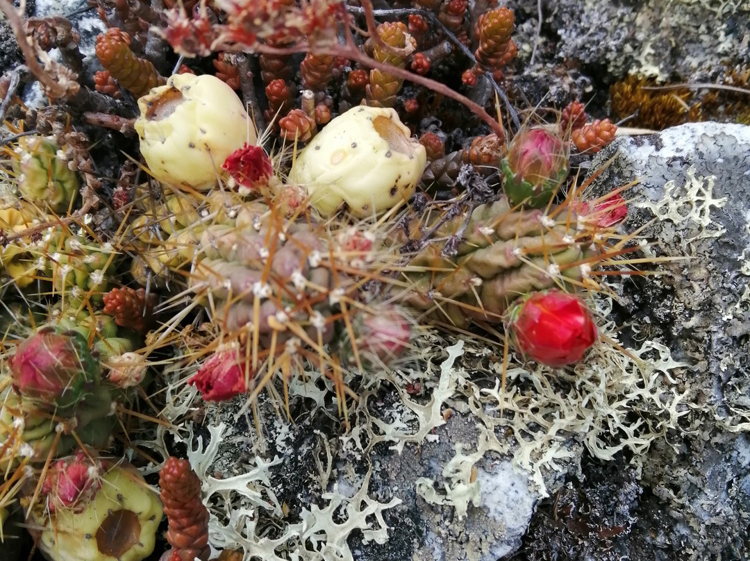 瓦斯卡兰国家公园-瓦斯卡兰国家公园必去景点