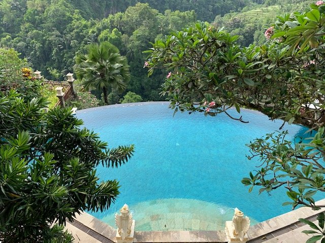 阿贡里加萨别墅度假村-泳池