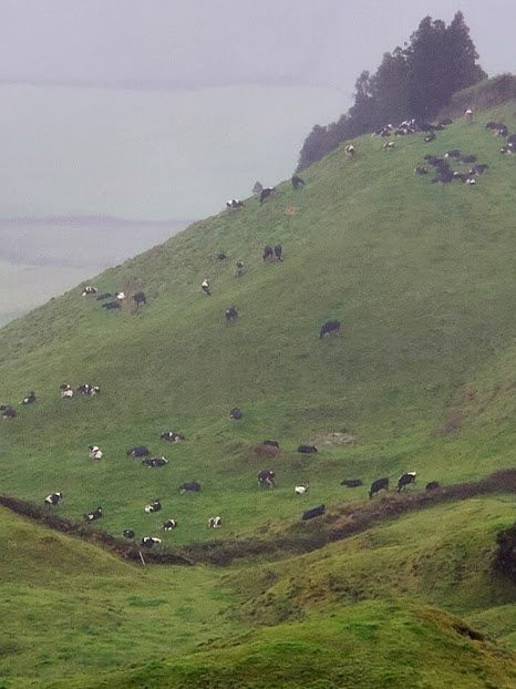 Pure Azores Tours-蓬塔德尔加达必去景点