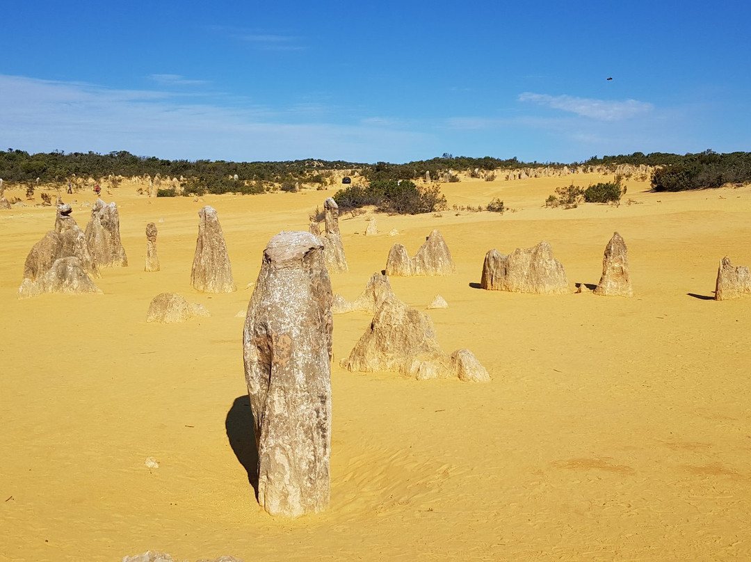Pinanacles Desert-Nambung必去景点