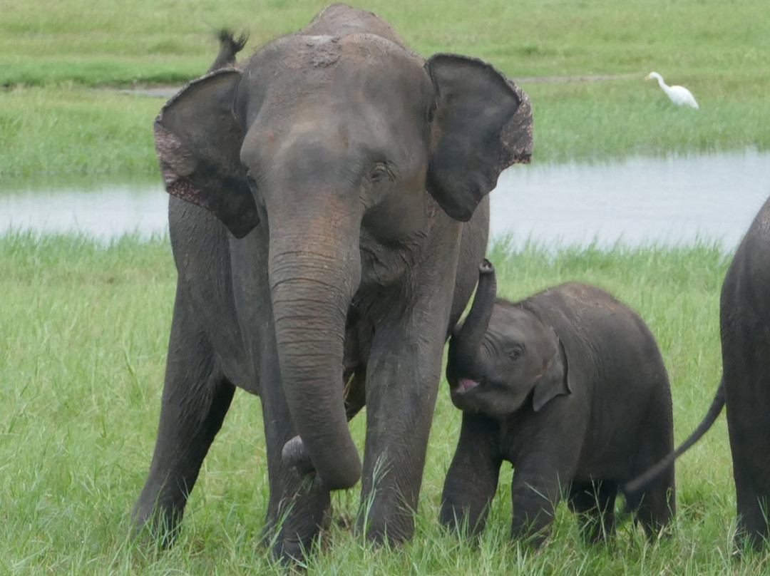 Adventure Team-Marawila必去景点