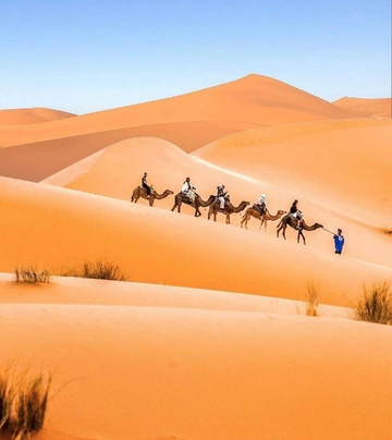 Visitar Desierto-瓦尔扎扎特必去景点