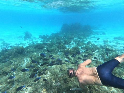 Blue Ocean Tours-乔治城必去景点