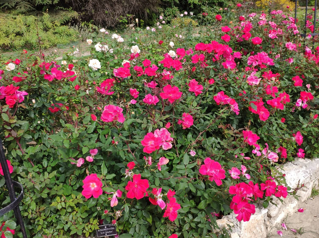 Botanical Garden Ecopark-瓦尔纳必去景点