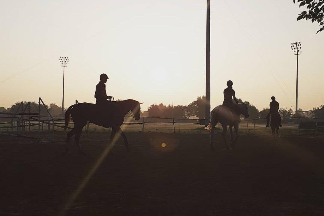 Duke Horse Riding Club-古尔冈必去景点
