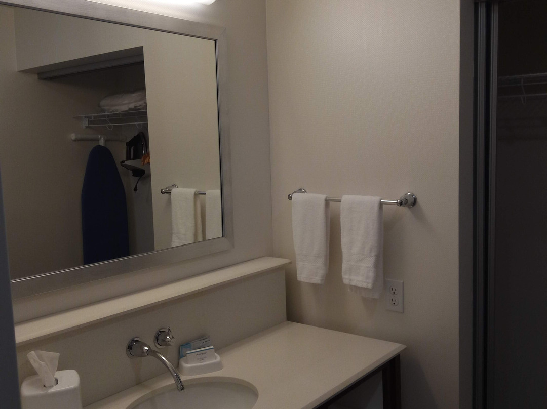 Hampton Inn & Suites Bay City主图