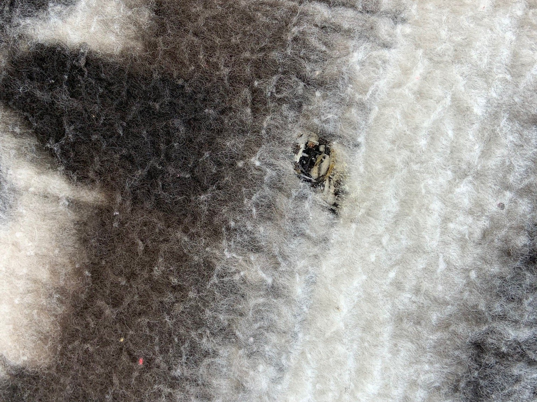 Hotel San Marcelo主图