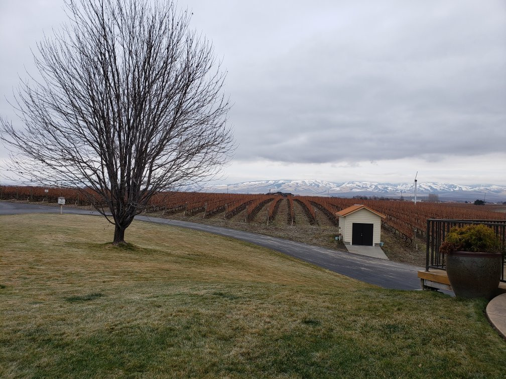 Pepper Bridge Winery景点图片