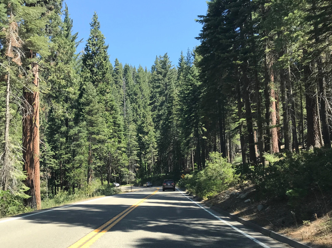 Wawona Hotel, National Historic Landmark-Wawona必去景点