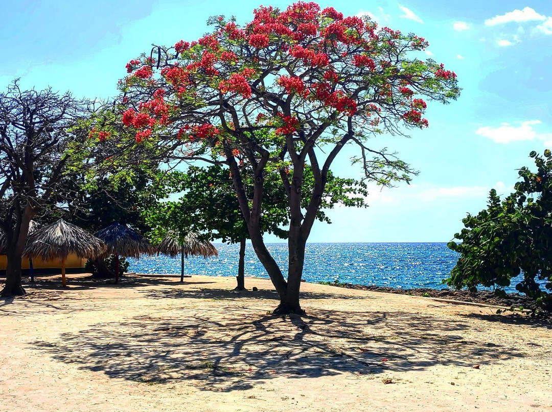 Playa La Boca景点图片