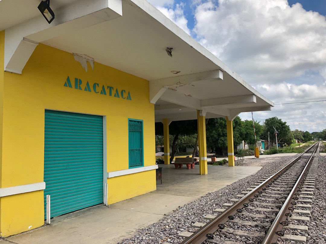 Jireh Tour Express-Aracataca必去景点