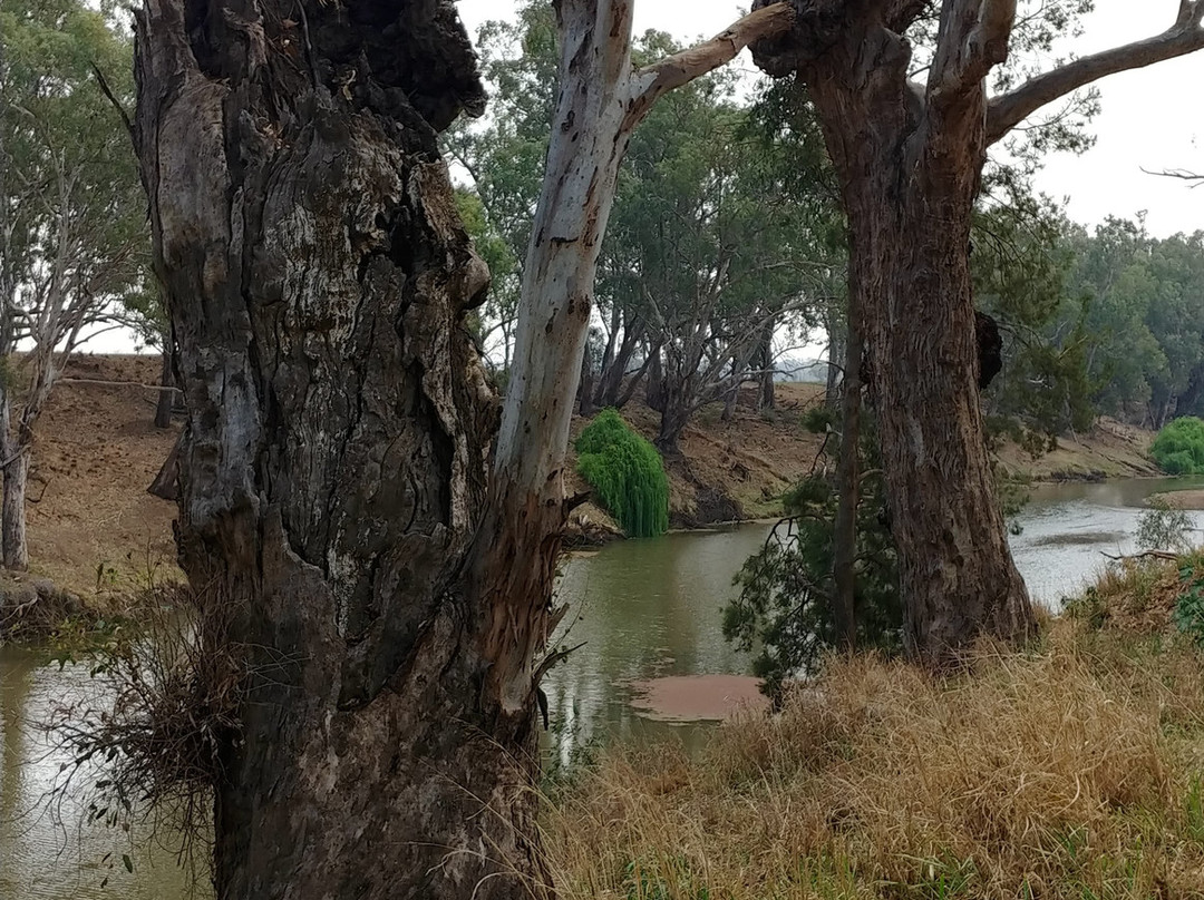 Terramungamine Reserve and Rock Grooves-达博必去景点