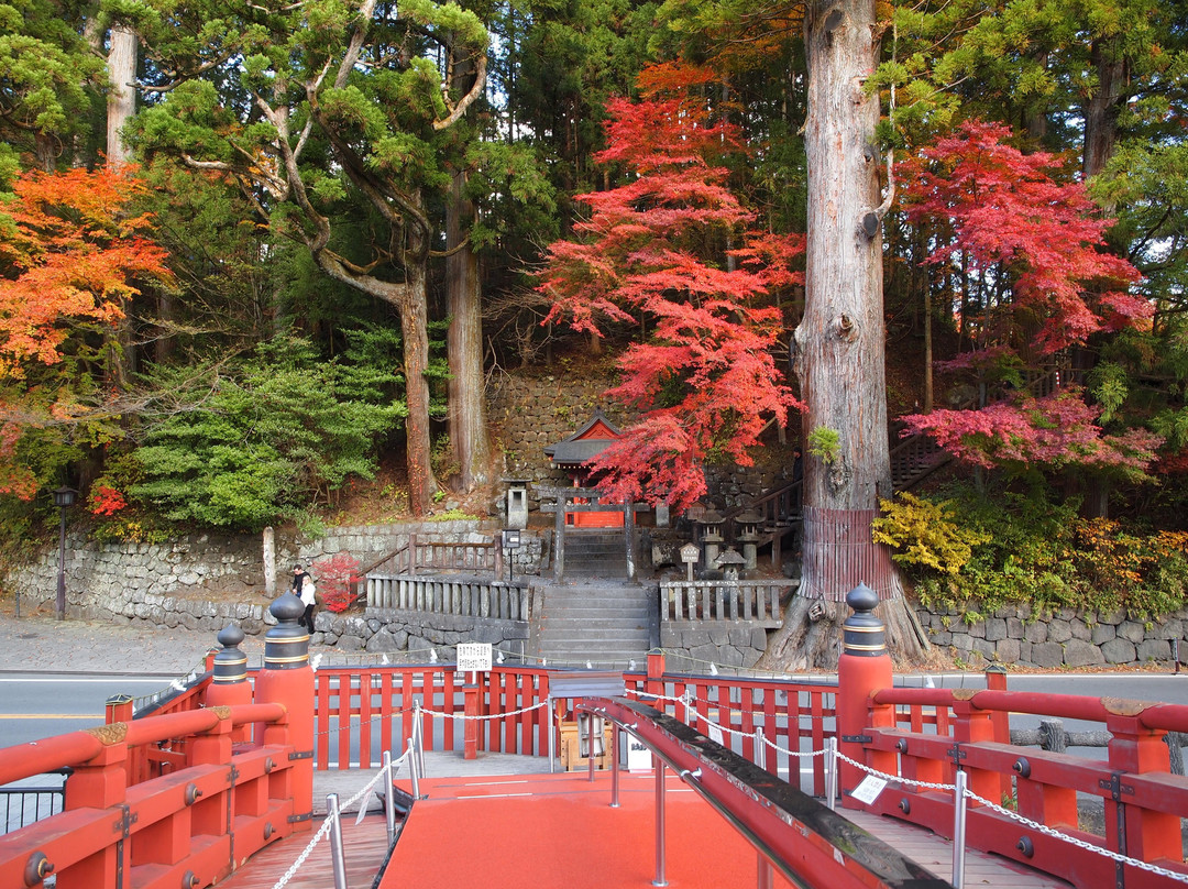 Tarosugi-日光市必去景点