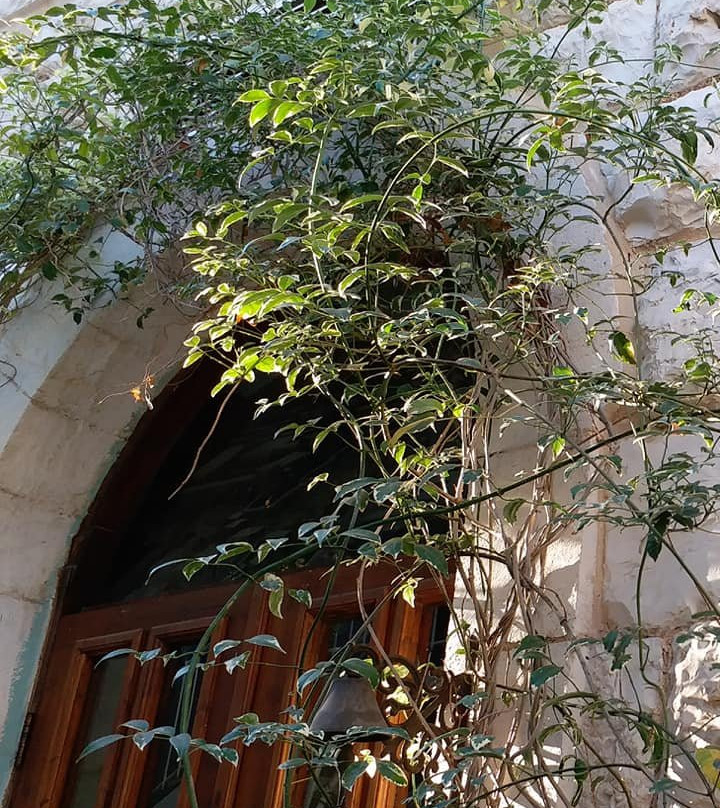 拿撒勒别墅酒店主图