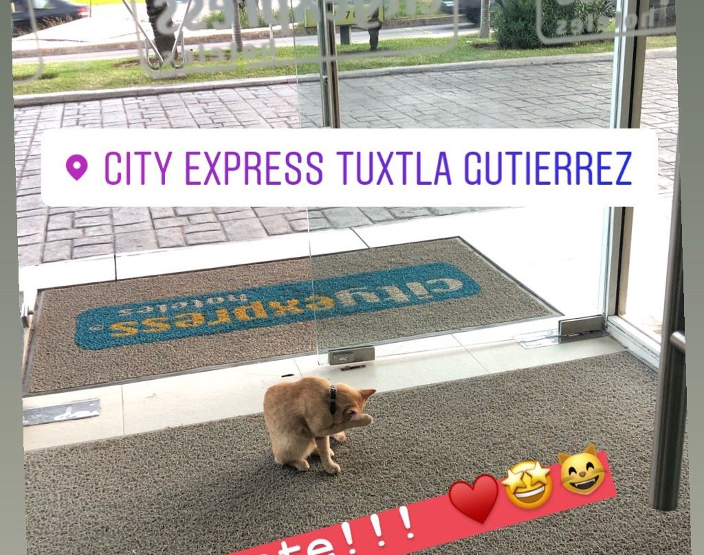 City Express By Marriott Tuxtla Gutierrez主图