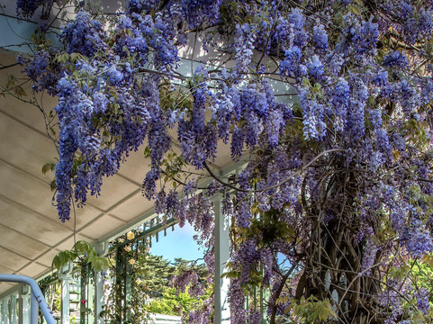 Move On Tours-墨尔本必去景点