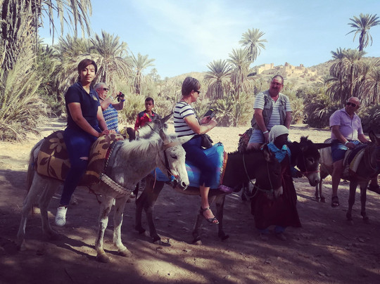 Union Tours LLC-阿加迪尔必去景点