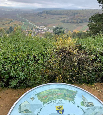 Authentica Tours-第戎必去景点