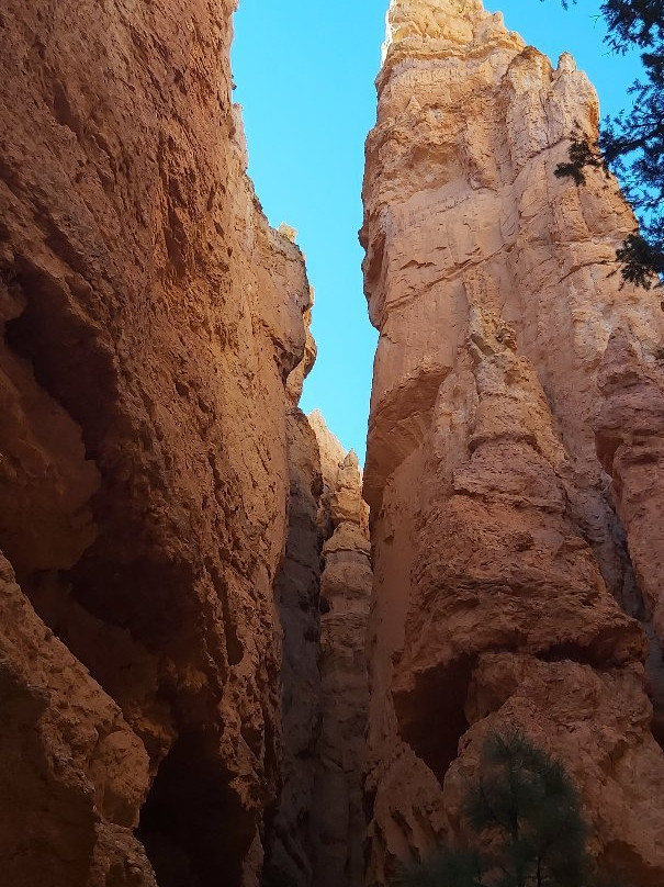 Bryce Canyon Scenic Tours景点图片