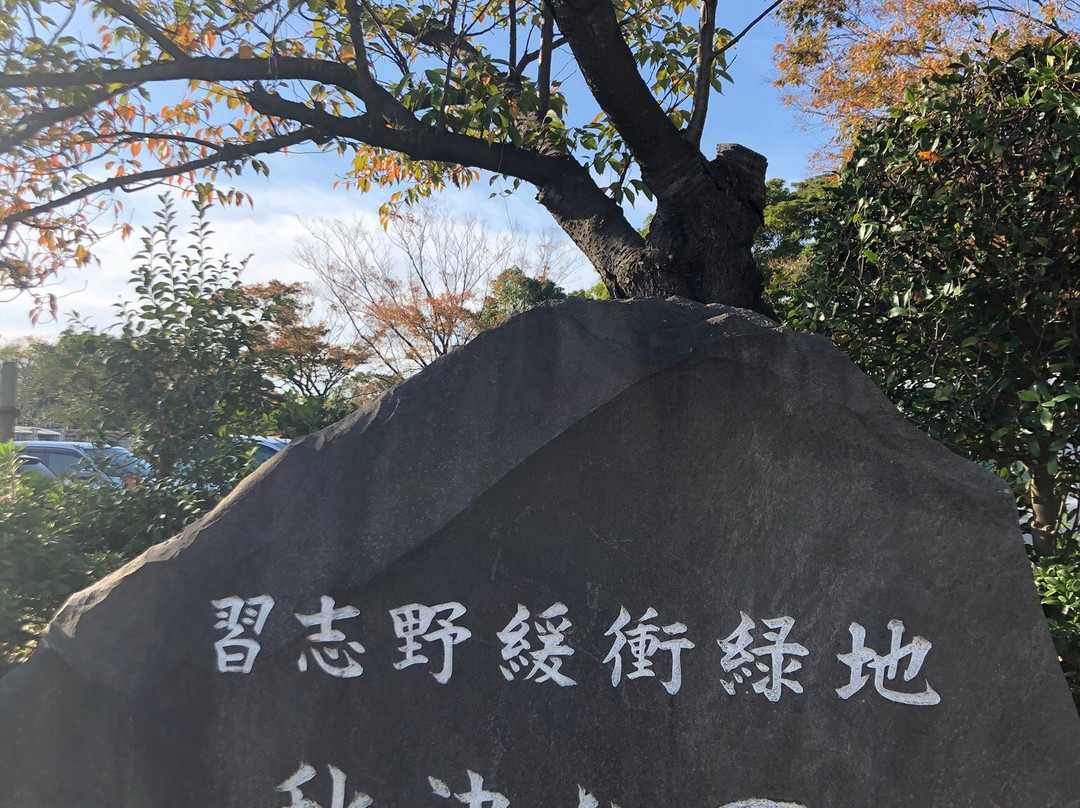 Daiichi Cutter Baseball Field-习志野市必去景点