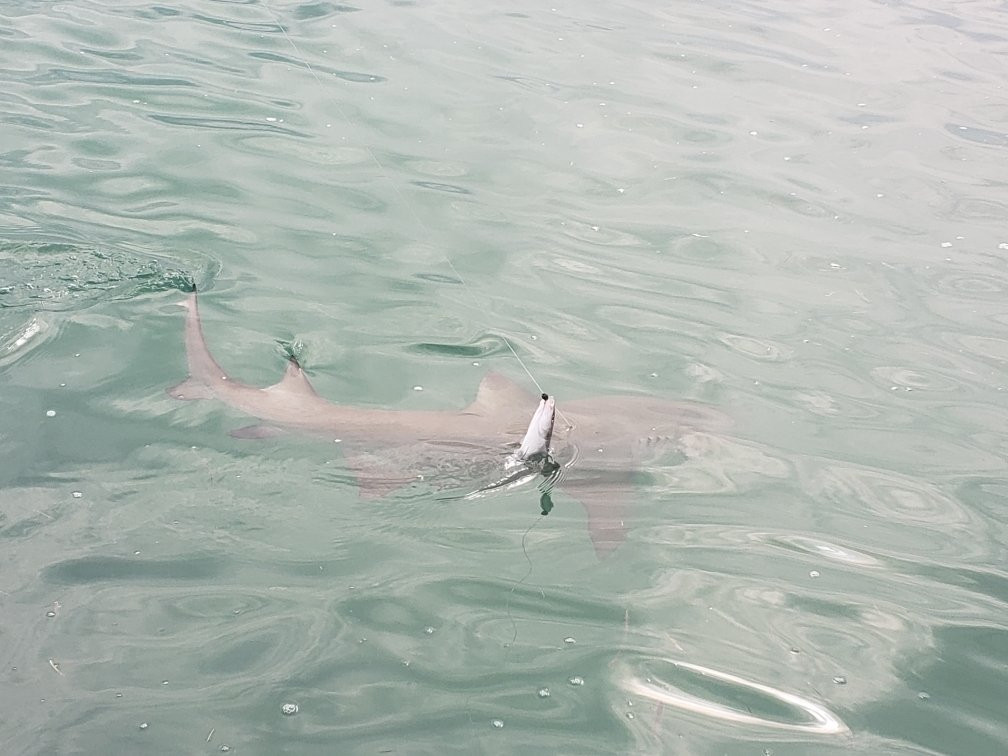 Captain Mel's Sportfishing Charters-基韦斯特必去景点