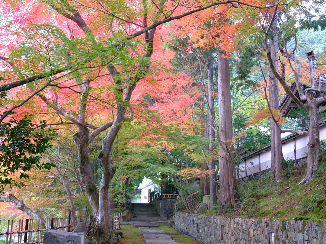 Myoshu-ji Temple-龟冈市必去景点