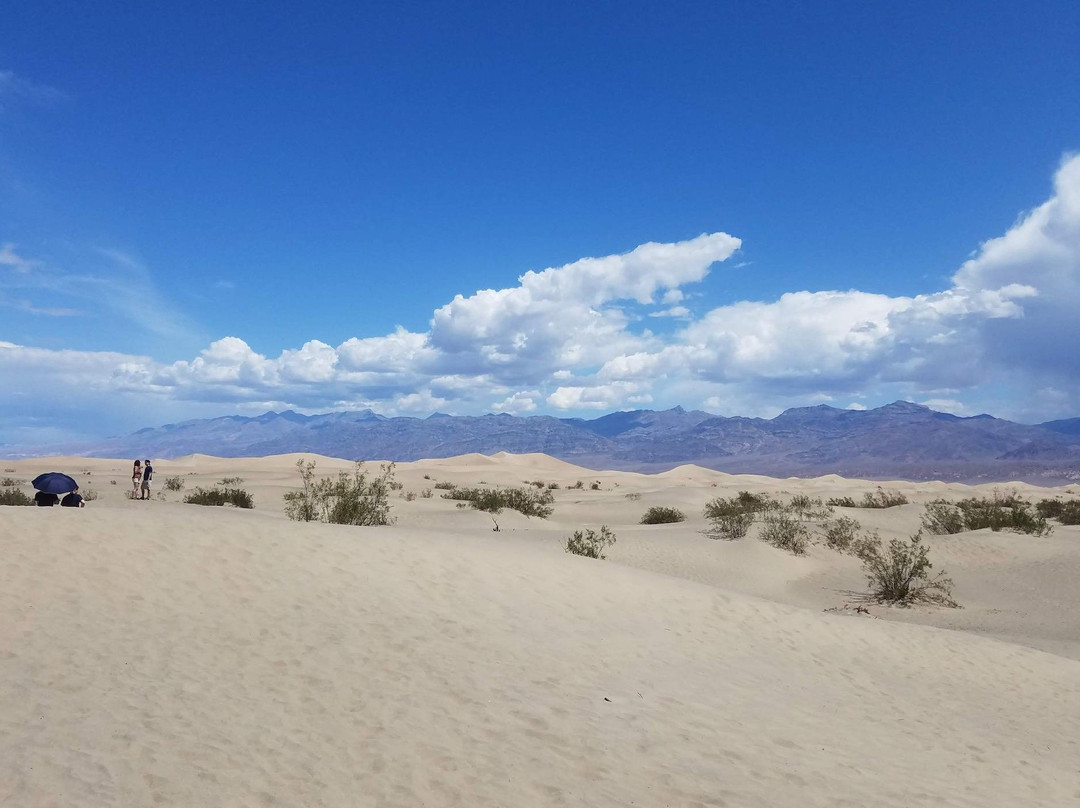 Out West Adventure Tours-拉斯维加斯必去景点