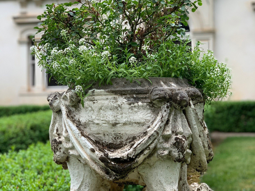 The Grand Oaks Resort主图