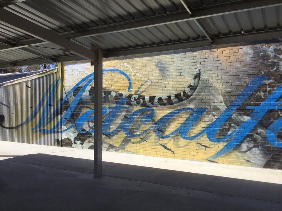 Sirum Snake Mural-Woomelang必去景点