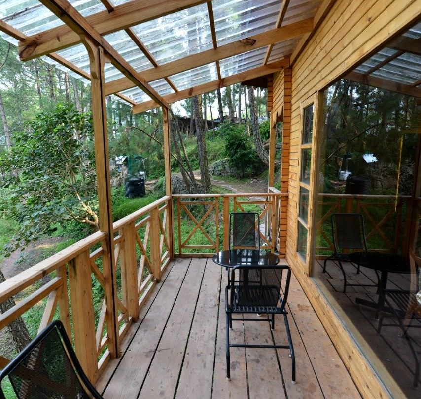 Kasauli Hills Resort主图