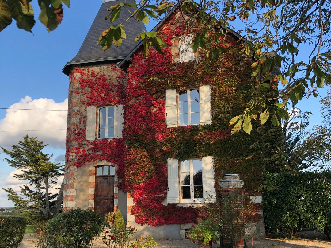 Domaine des Gauliers主图