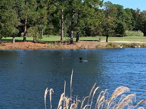 Myrtle Beach National-美特尔海滩必去景点