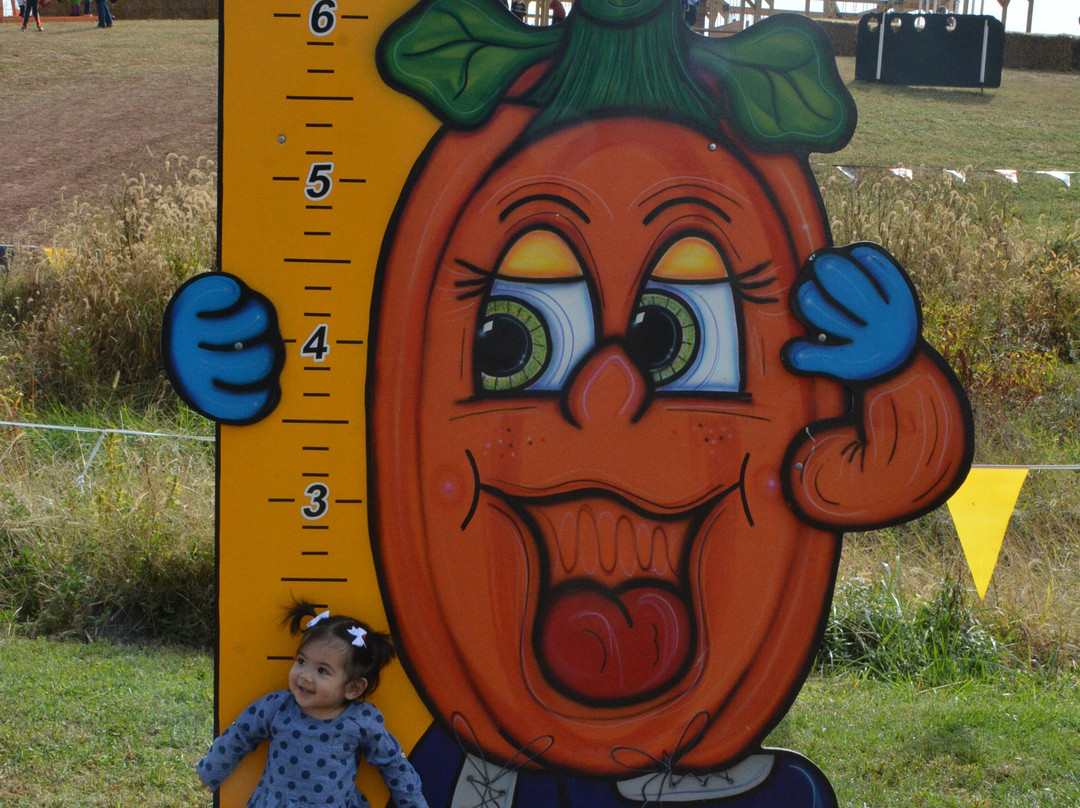 Summers Farm-弗雷德里克必去景点