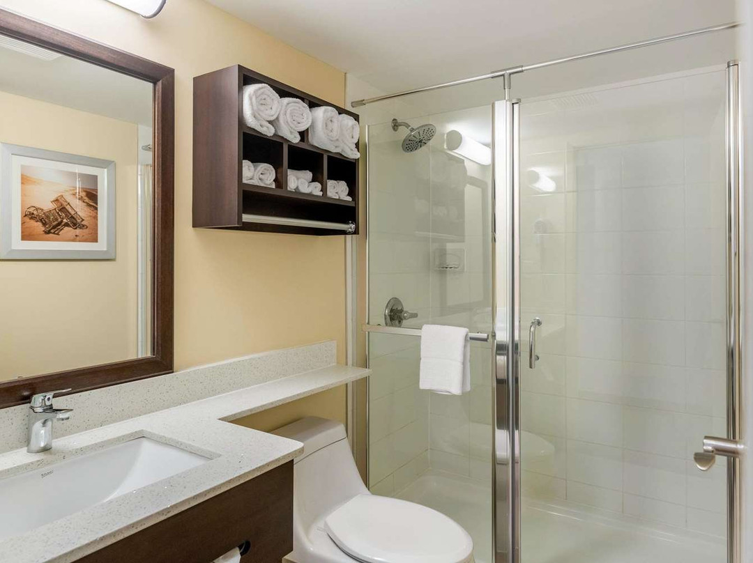 Quality Inn & Suites Bathurst主图