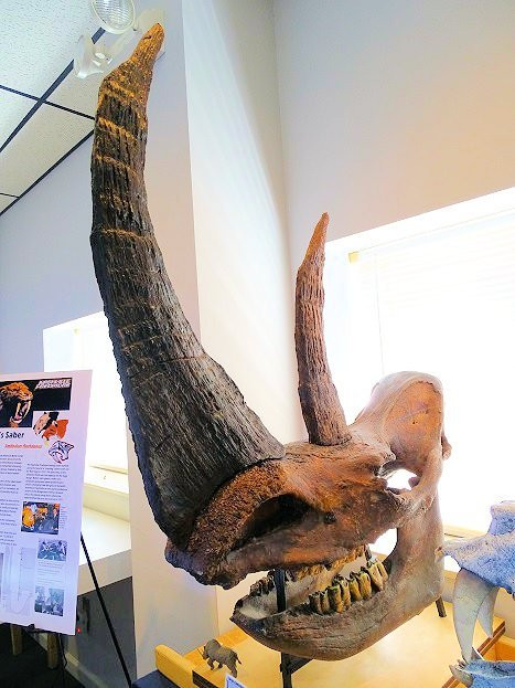 Earth Experience - Middle Tennessee Museum of Natural History-默弗里斯伯勒必去景点