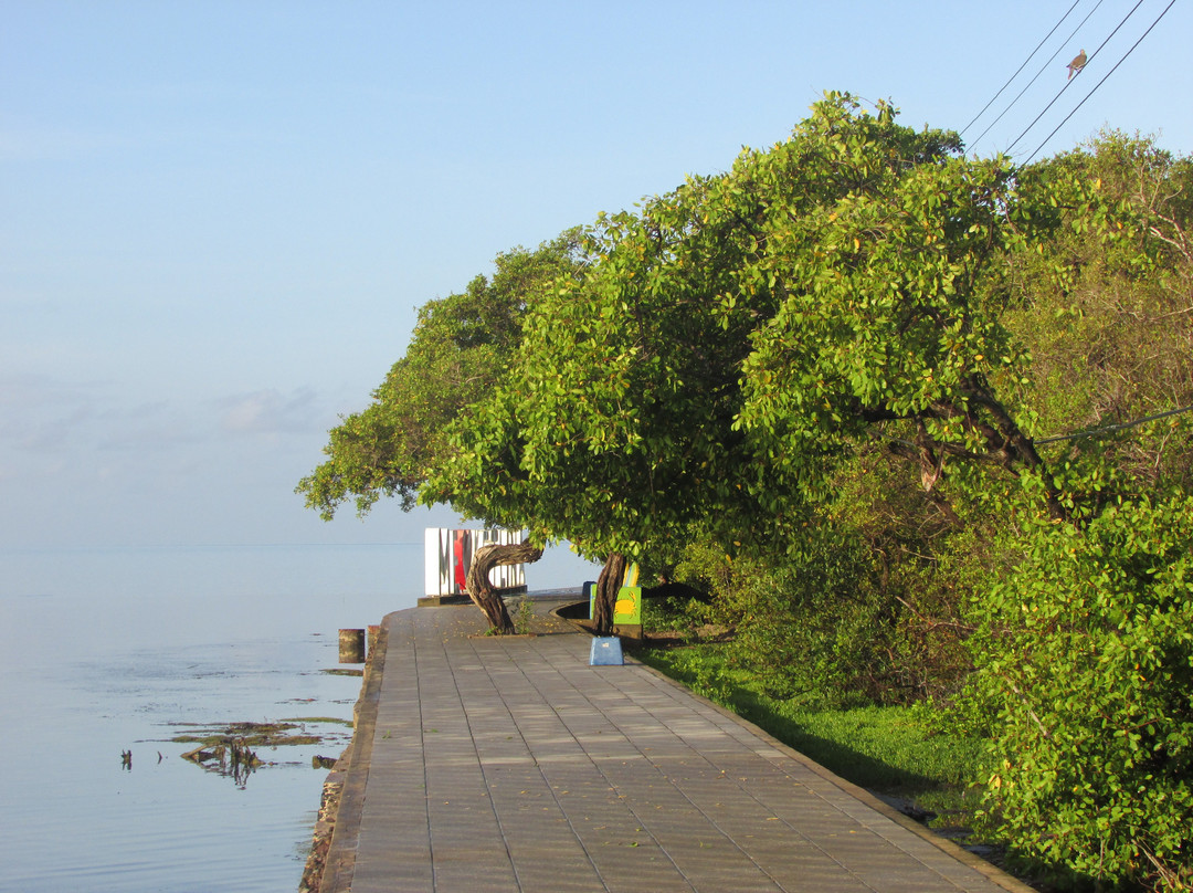 Posada Sunshine Paradise主图