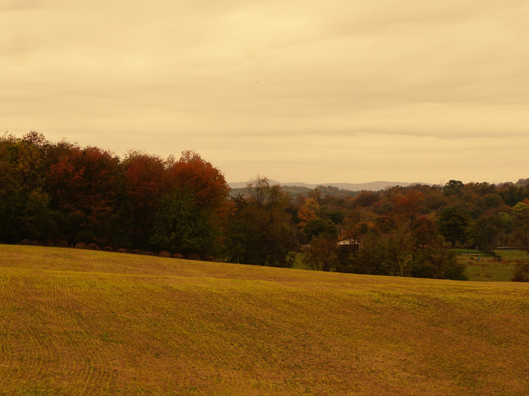 Jacob Swartz House主图