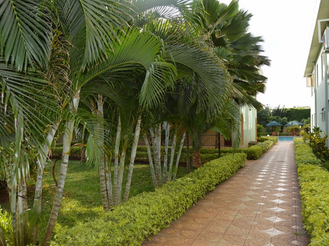 Palm Oasis Resort主图