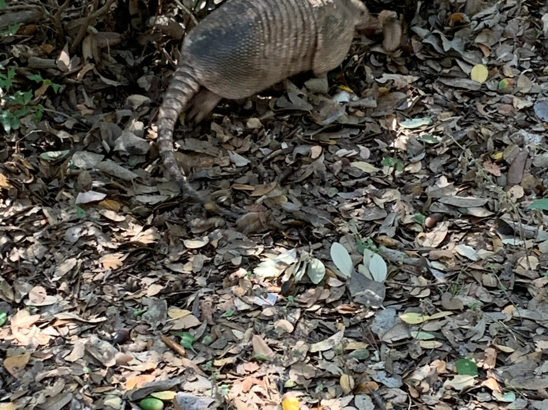 Phil Hardberger Park-圣安东尼奥市必去景点