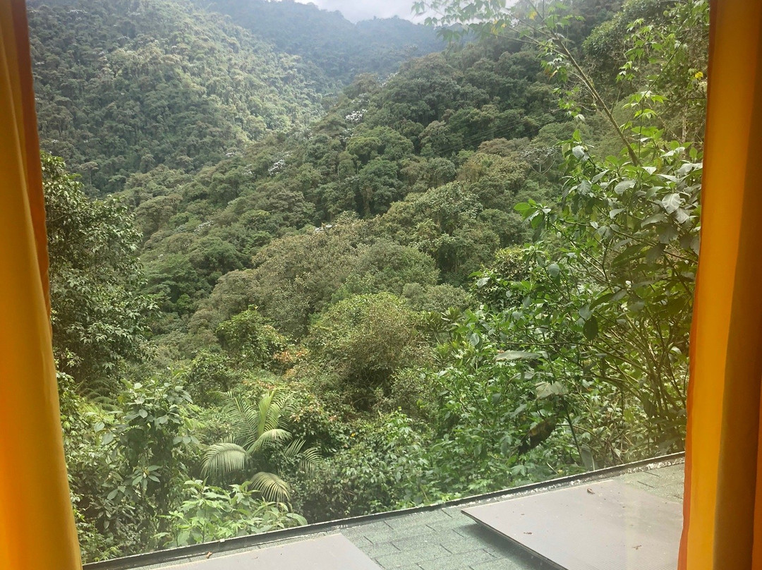 Bellavista Cloud Forest Reserve景点图片