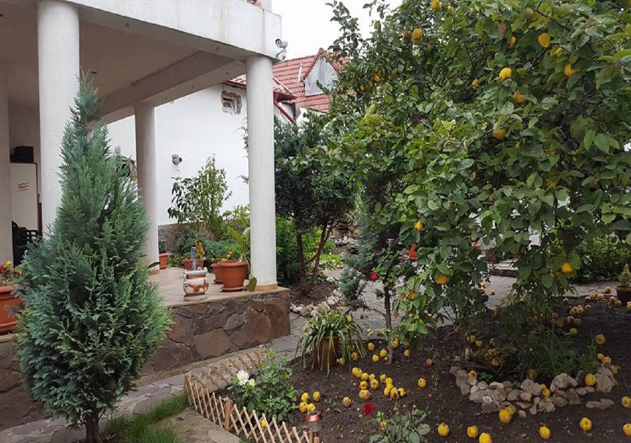 Villa Cristiani-官方