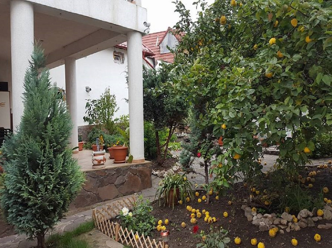 Villa Cristiani主图