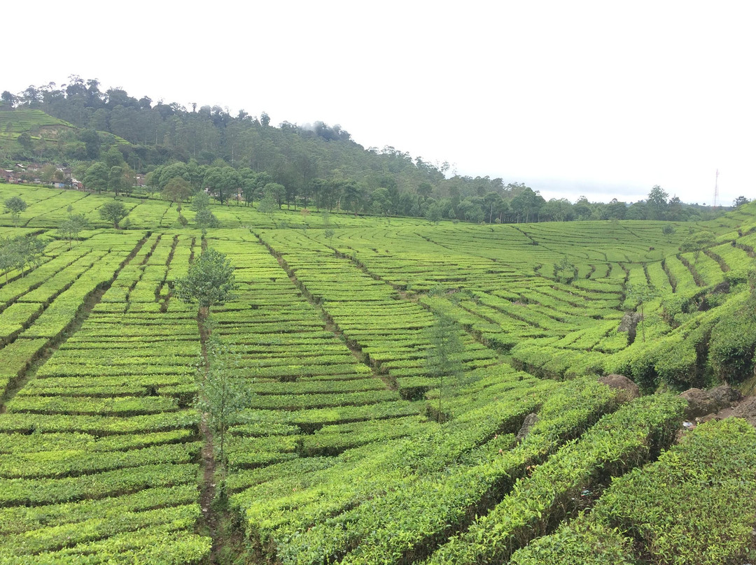 Bandung Stop Over-万隆必去景点