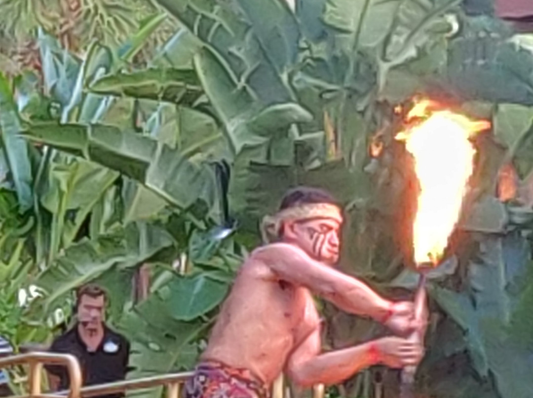 Disney's Spirit of Aloha Dinner Show景点图片