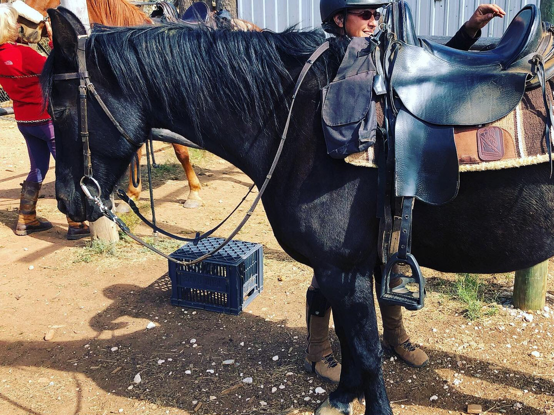 Heidiland Horseback Adventures-蒙提古必去景点