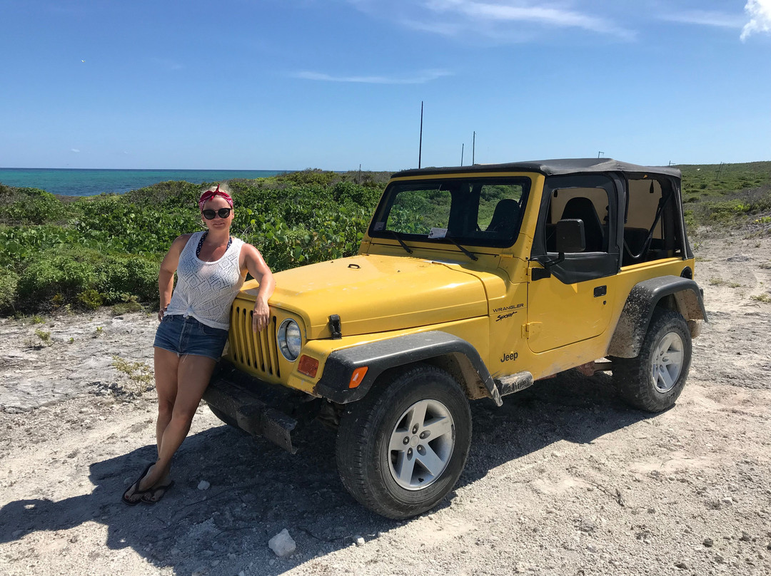 Harbour Adventures-South Caicos必去景点