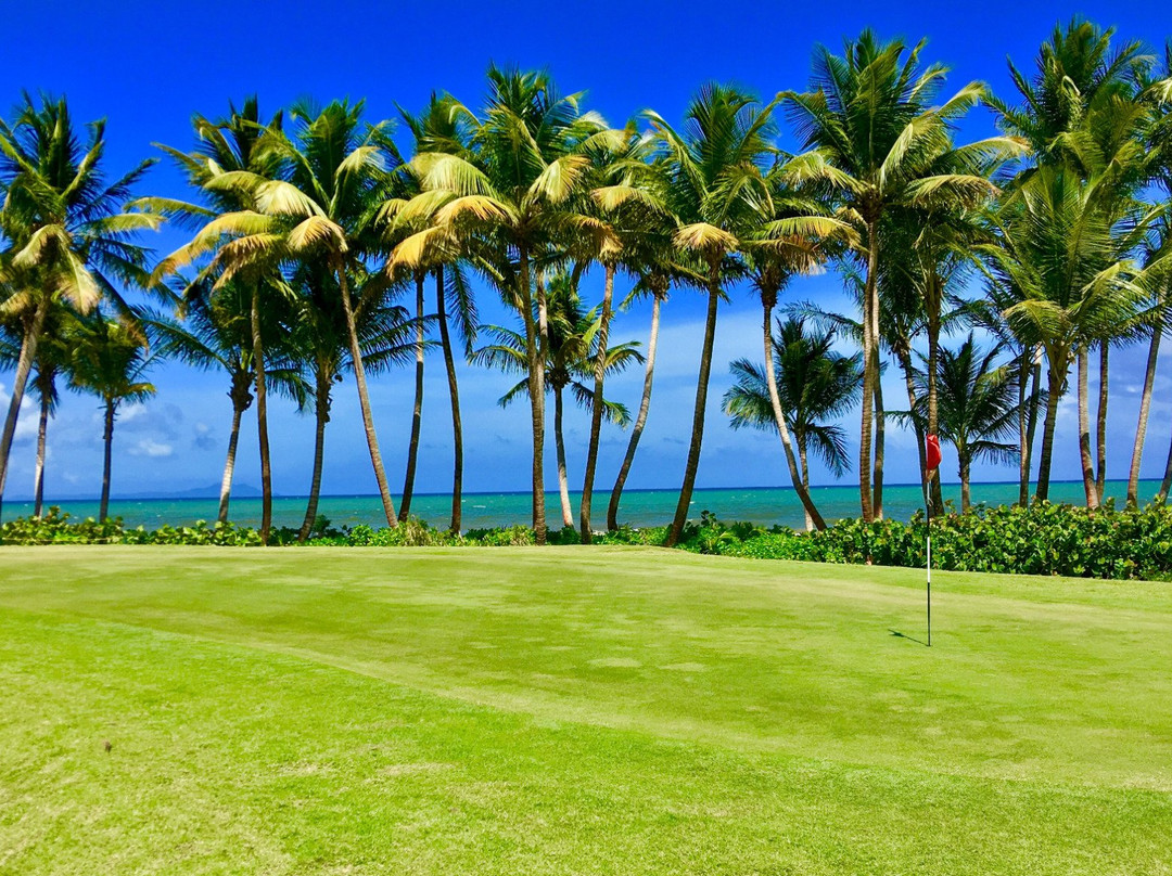 Palmas Del Mar Golf Club-Humacao必去景点