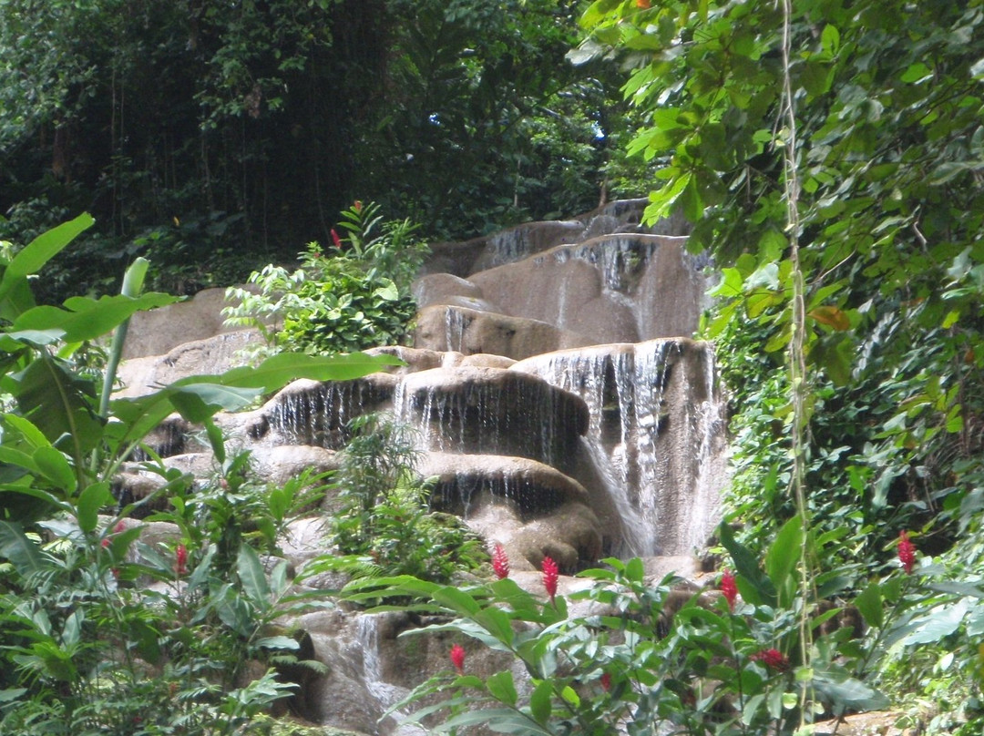 Konoko Falls & Park景点图片