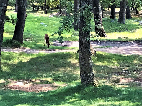 Gold du Claux-Amic-格拉斯必去景点