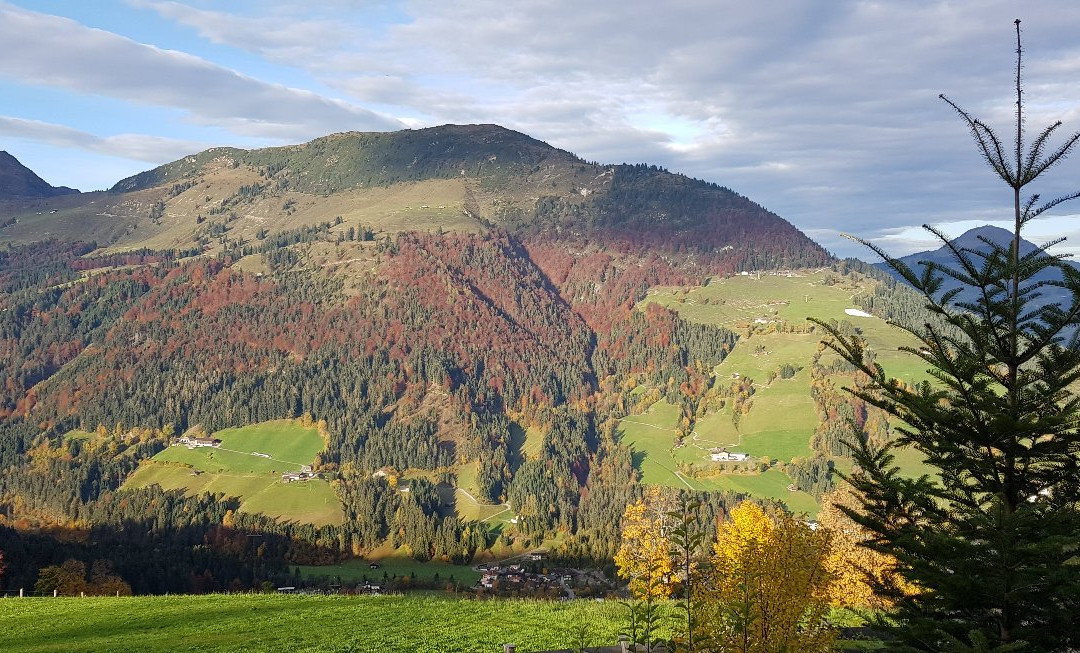 Maierl-Alm und Chalets主图